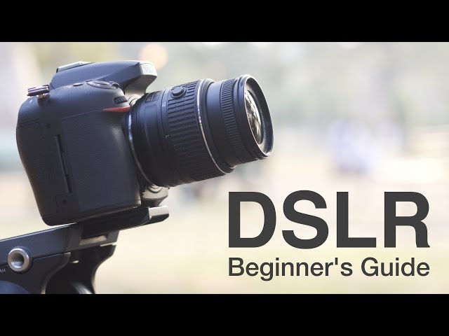 How to Use a DSLR Camera? A Beginner's Guide