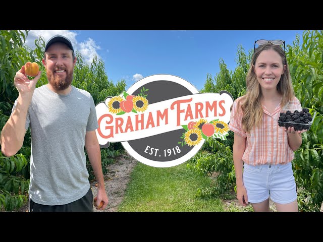 Picking Blackberries & Peaches in Central Florida | Tour of Graham Farms in Umatilla, Florida