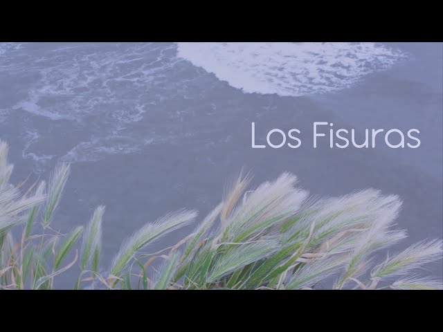 Rolo Abal - Los Fisuras - En directo 2017, Mar del Plata