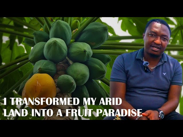 How He Transformed His Dry Land Into A Paradise