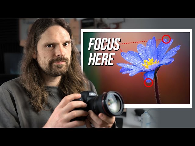 How to SHOOT & EDIT FLOWER PHOTOS Like a PRO!