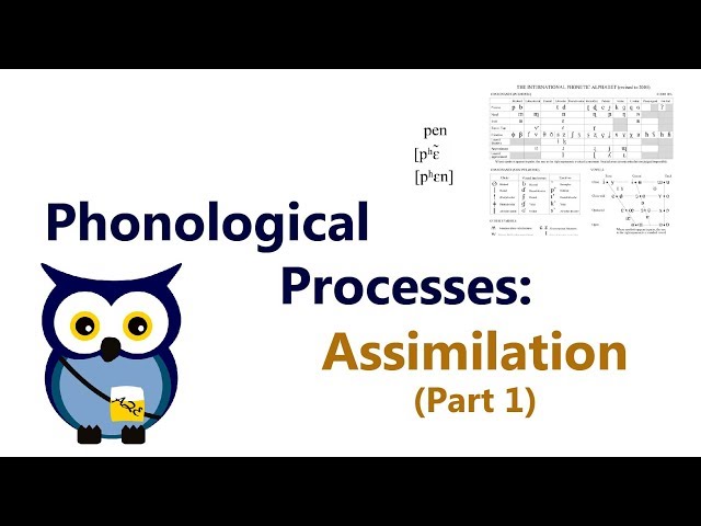 Phonological Processes: Assimilation (Part 1)
