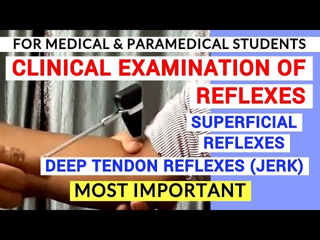 REFLEXES EXAMINATION | CLINICAL LAB | PHYSIOLOGY PRACTICALS