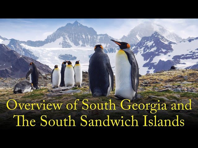Overview of South Georgia and The South Sandwich Islands