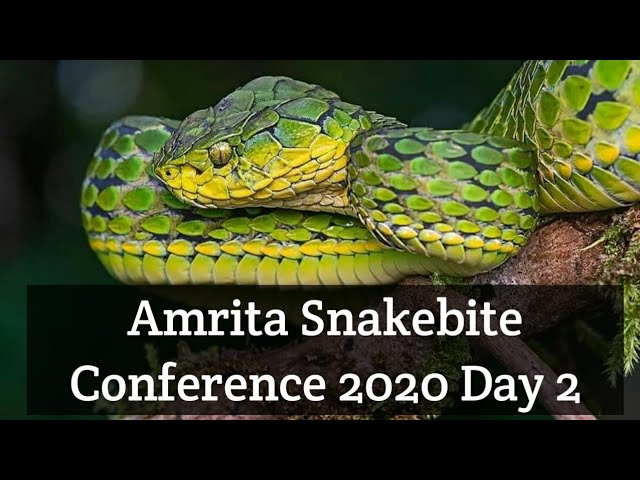 Amrita Snakebite Conference 2020 Day 2