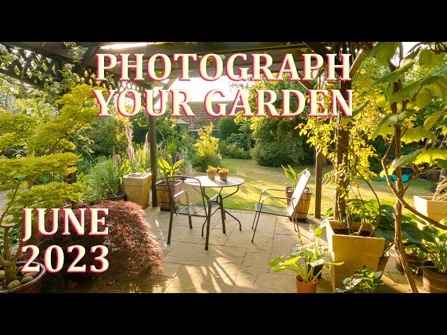 How to Photograph Your Garden - and Early Summer Garden Tour