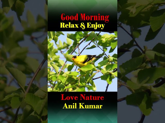 Good Morning Enjoy Nature