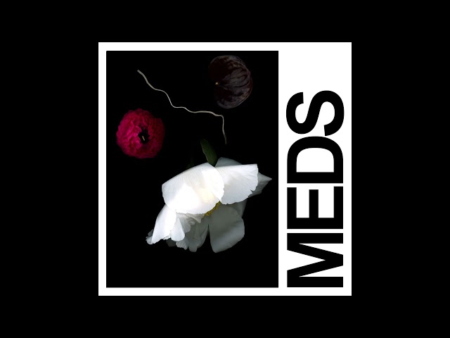 IDLES - MEDS (Official Audio)