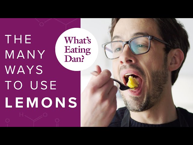 If Life Hands You Lemons, Make Lemon Olive Oil Tart (and Everything Else) | What's Eating Dan?