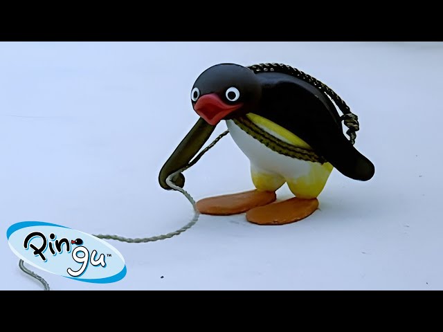 Pingu the Mountaineer 🐧 | Pingu - Official Channel | Cartoons For Kids