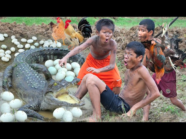 Chicken eating, cooking with egg crocodile eat | Primitive technology,