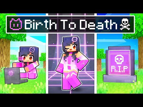 BIRTH to DEATH of a HACKER In Minecraft!
