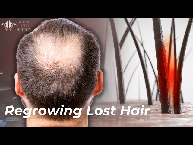The Science of Hair Loss: How to Prevent & Regrow Lost Hair