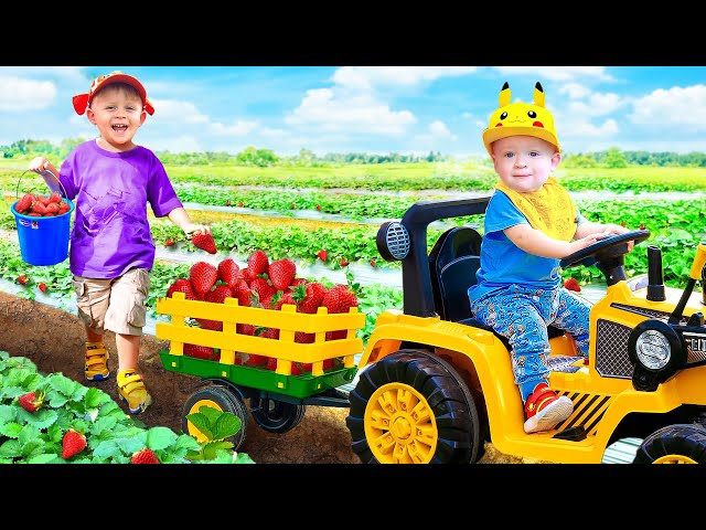 Oliver Learns About Farm Animals and to Harvest on the Farm