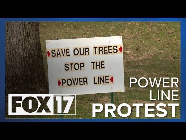People fight back after Consumers announces plan for new power line