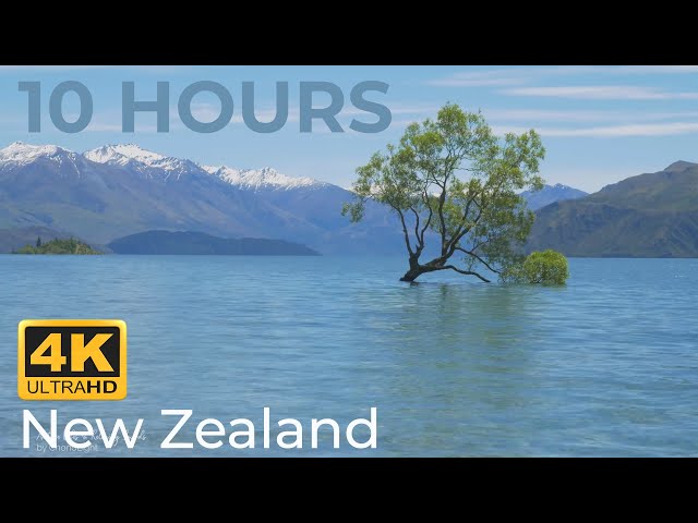 Lake Sounds in New Zealand 💦 10 Hours Calm Flowing Water Nature Sounds for Sleeping & Stress Relief