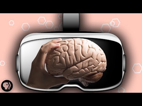 Technology & Your Brain