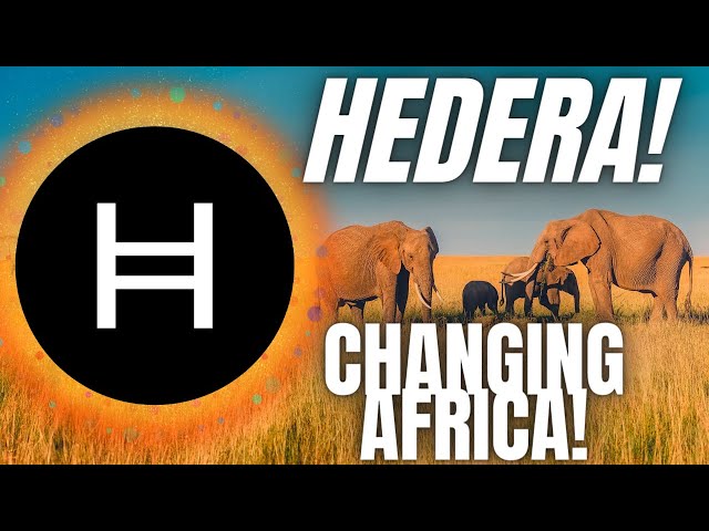 HUGE: Hedera HBAR Being Used By African Central Banks To Bank The Unbanked!!!