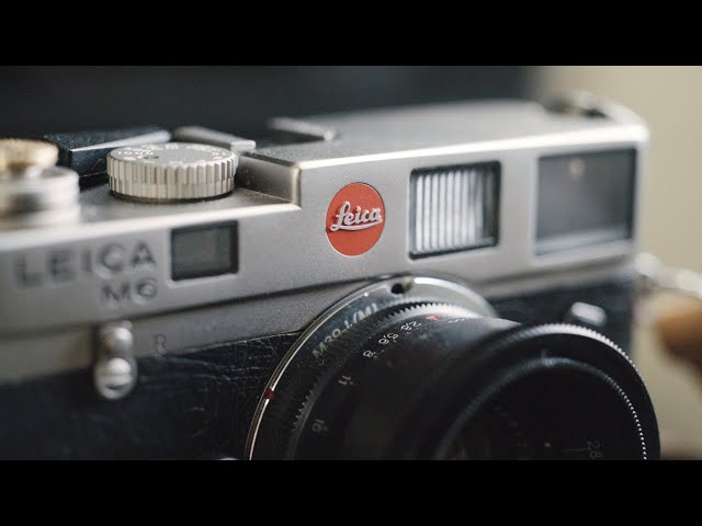 Why is the Leica M6 so popular?