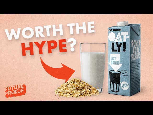 Why is Oat Milk SO Popular?