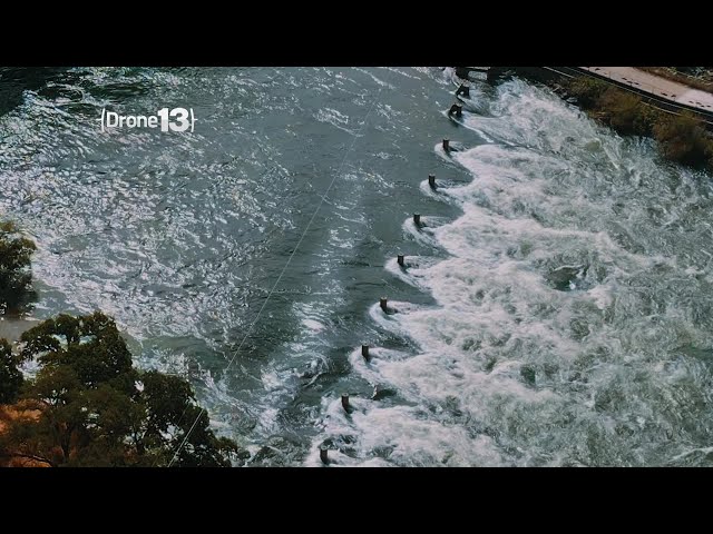 Drone13: Nimbus Dam and American River
