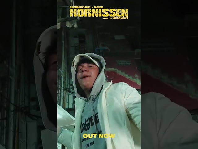 HORNISSEN OUT NOW! #kasimir1441 #ramo #wildbwoys