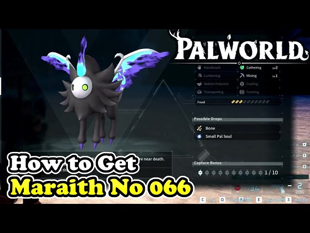 Palworld How to Get Maraith (Palworld No 066)