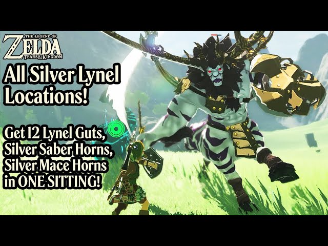How To Get Lynel Guts & Silver Horns - 12 In One Sitting! All Silver Lynel Locations - Zelda TOTK