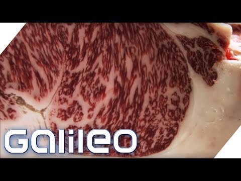 150 Euro pro Portion: So schmeckt das edelste Fleisch der Welt | Galileo | ProSieben