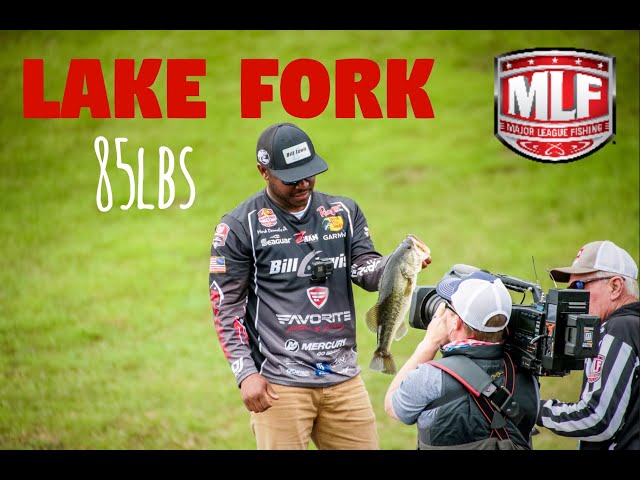 I Caught 85lbs in One SPOT/Bass Pro Tour|Lake Fork VLOG