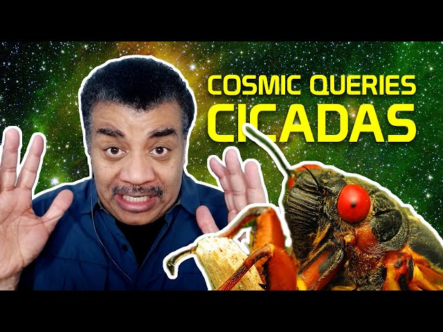 Cicada Invasion! With Jessica Ware - Cosmic Queries