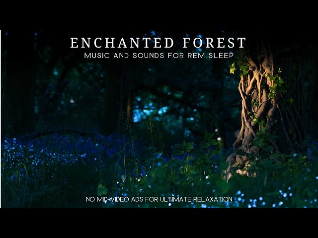 Enchanted Forest | Music to drift into REM Sleep