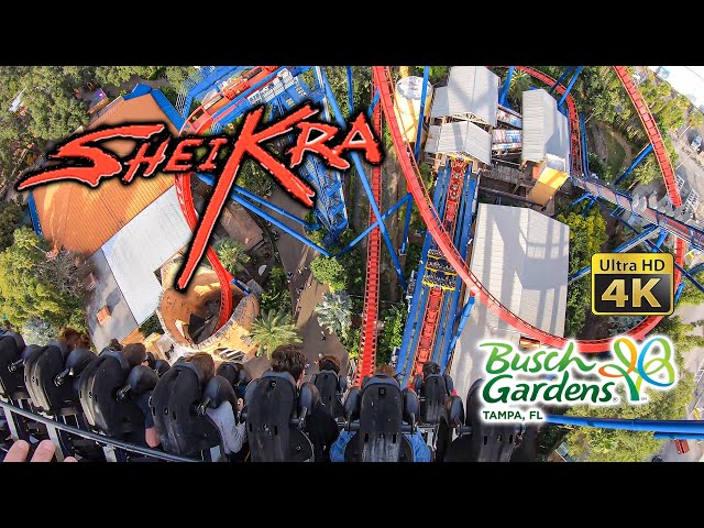 Sheikra Roller Coaster On Ride Back and Front Row Ultra HD 4K POV Busch Gardens Tampa