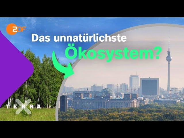 Was macht das Ökosystem “Stadt” so besonders? | Terra X plus