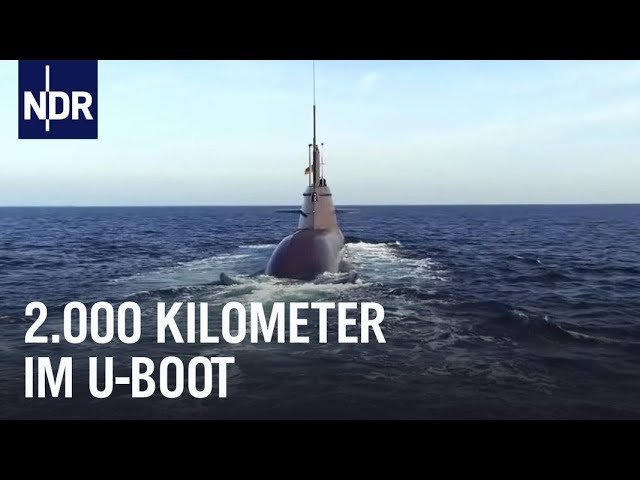 Unterwegs im U-Boot: Auf Transitfahrt mit U 31 | die nordstory | NDR Doku
