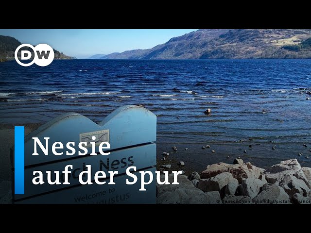 Lebt das Seeungeheuer von Loch Ness nun doch? | Fokus Europa