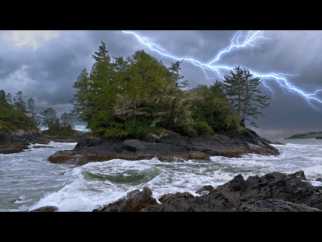 Crashing Waves, Steady Rain, & Rumbling Thunder | Thunderstorm and Ocean White Noise