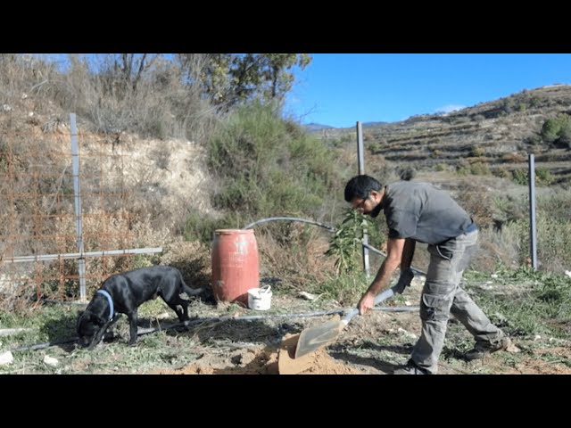 Vlog: preparing the cypress hill + concrete for the  hut
