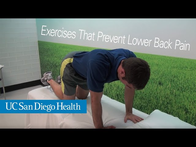 7 Simple Core Exercises That Prevent Lower Back Pain