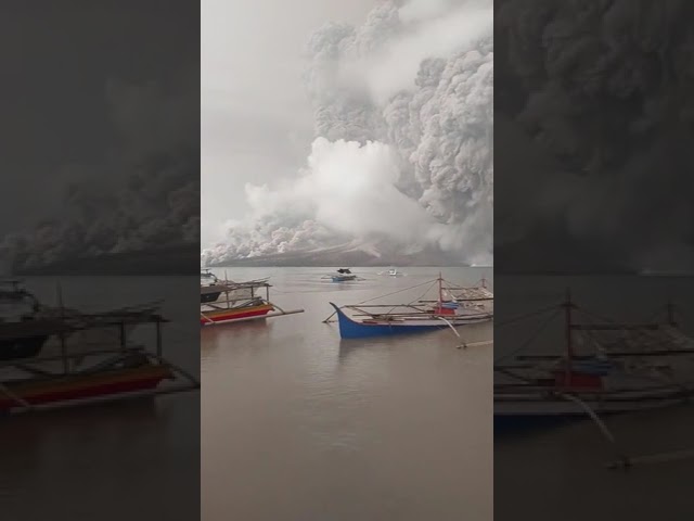 That dog is remarkably calm. 🐶 Indonesia volcano eruption spreads ash to Malaysia and shuts airports