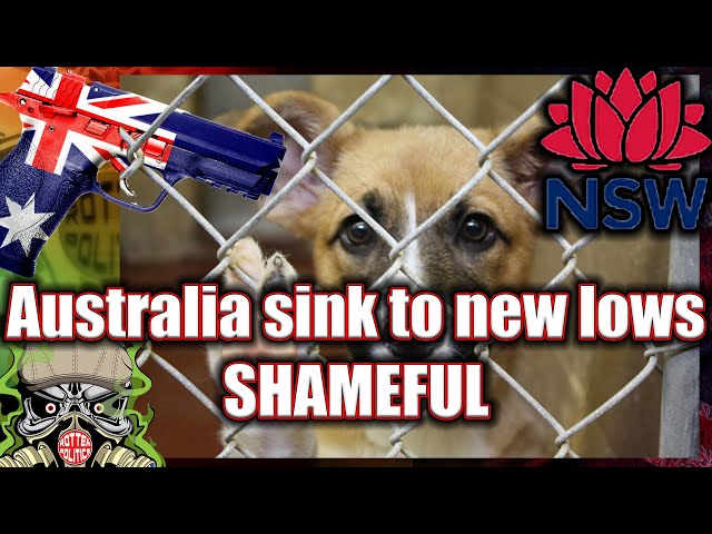 Australia the Pet killing tyrants 😯 the lowest of low