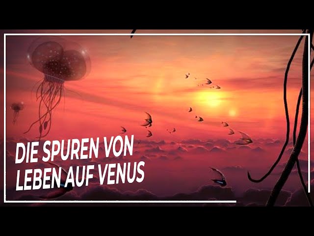 Das Leben dahinter: Mysteriöse Spuren außerirdischen Lebens auf der Venus |DOKUMENTAR Weltraum