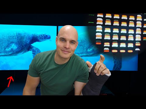 OLED vs QLED - With a Microscope! - What is the best TV?