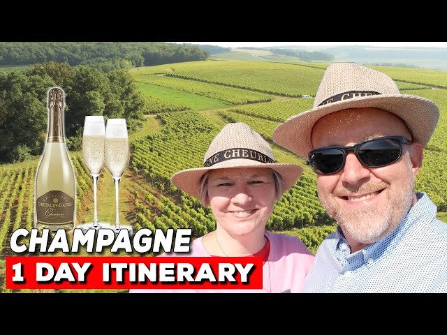 A Day in a French Champagne Vineyard