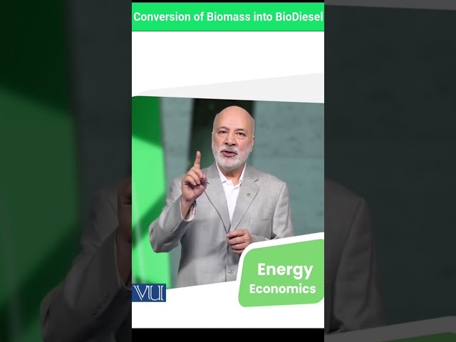 Conversion of Biomass into BioDiesel | VU | Shorts