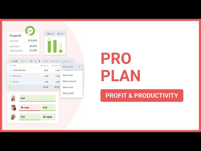 Clockify Pro Plan
