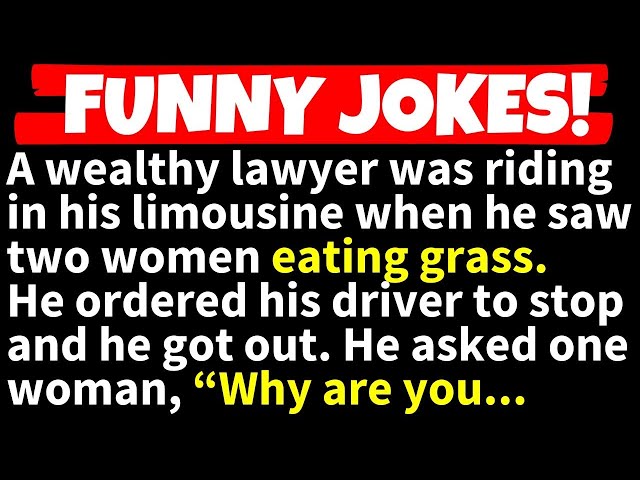 🤣JOKES COMPILATION! - A wealthy lawyer was in his limousine when he saw two women along the roadside