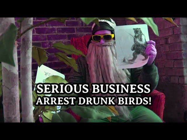 Serious Business |  Drunk Birds | 11