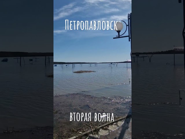 Вторая волна пошла на спад.  #ско #петропавловск