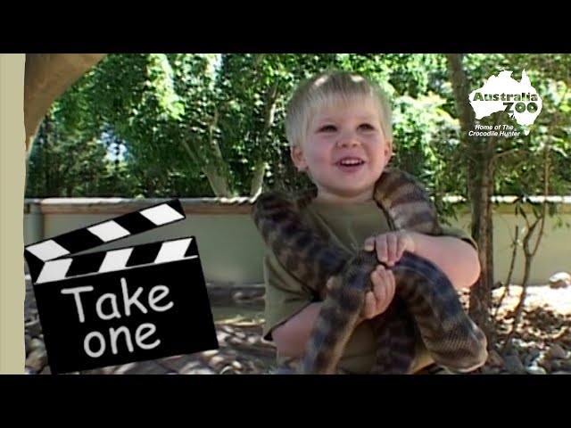 Young Robert Irwin ventures around Australia Zoo | Irwin Family Adventures
